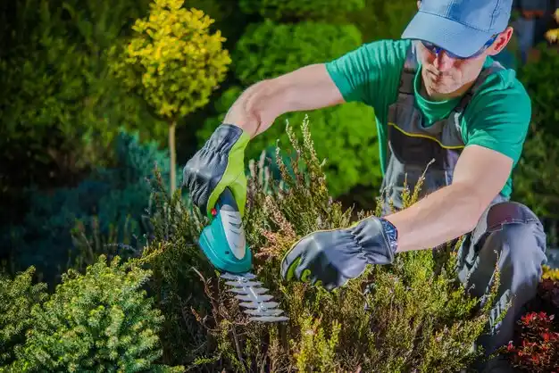 landscaping services Hilton